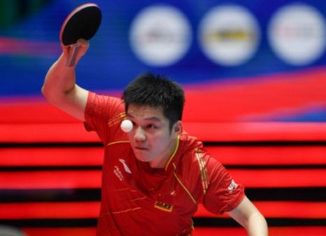 专业高效的 专业高效的