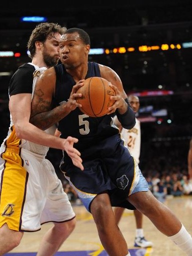 展示了丰富 展示了丰富